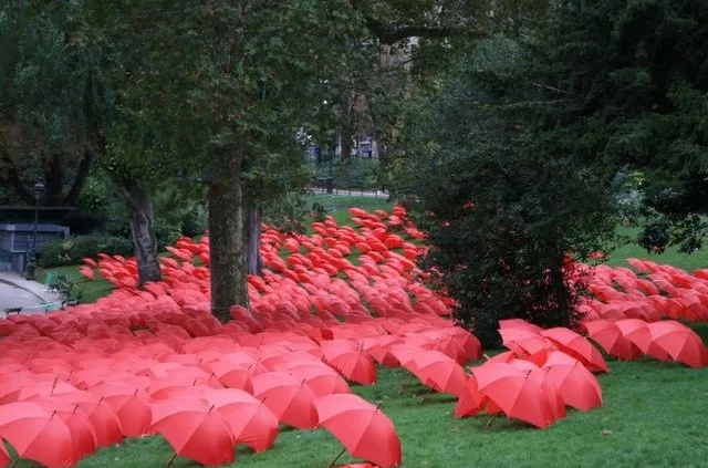 Зонтики в парке